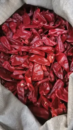 Wholesale Yidu Chilli Beijinghong Dried Chili
