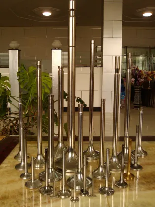 Marine Valves Used for MAN Ship Engine