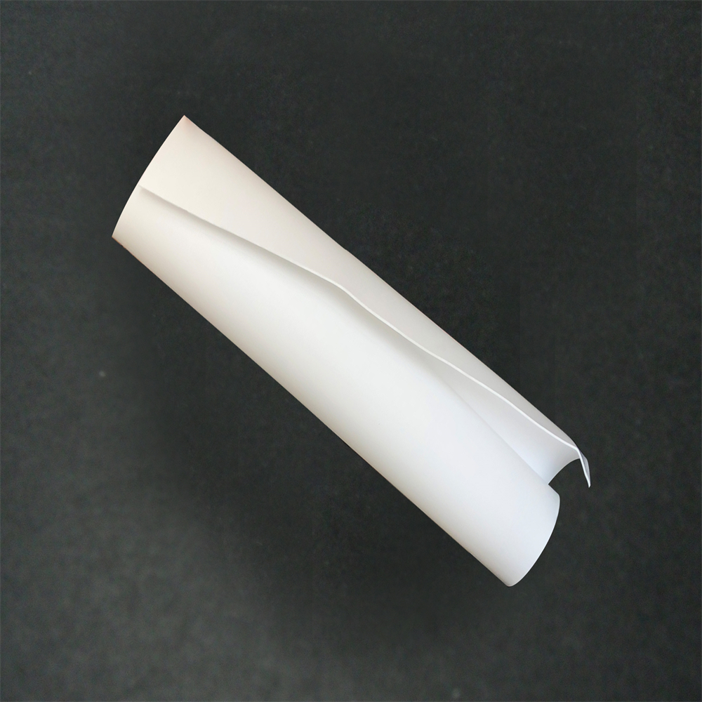 PTFE Foglio eapanded Ptfe Eapanded Sheet