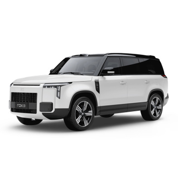 ROX 01 2024 7-Seater Long-Range Version