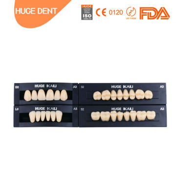 CE certification teeth dentures