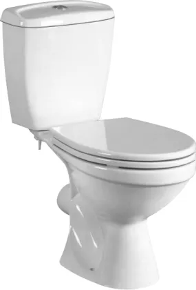 Washdown Two-piece Toilet Bathroom Sanitary Ware