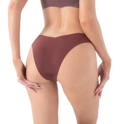 Seamless No Show Ice Silk Briefs for Women