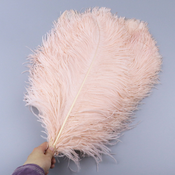Factory Sale: Large Angel Wings Plumes Fans with 45-50cm Dyed Ostrich Feathers for Carnival, Wedding, and Home Party Decorations