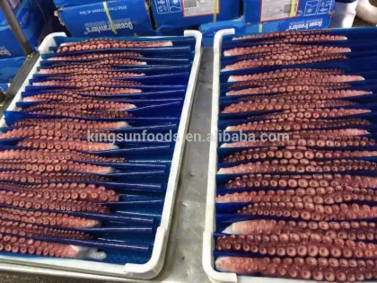 frozen raw octopus tentacle Octopus Valgaris