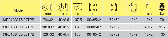 Parameters Of 13R01B8100.32TPB