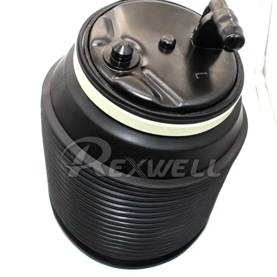 Air Suspension Shock Absorber Air Spring for Toyota Land Cruiser 48090-35011