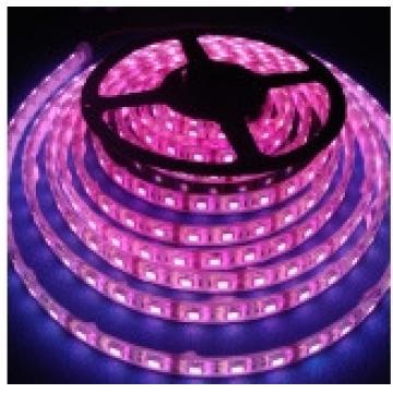 SMD LED Strip Lights 5050 Pink Color