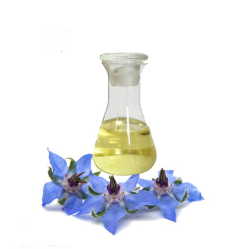 Olio di borage essenziale naturale puro al 100% puro