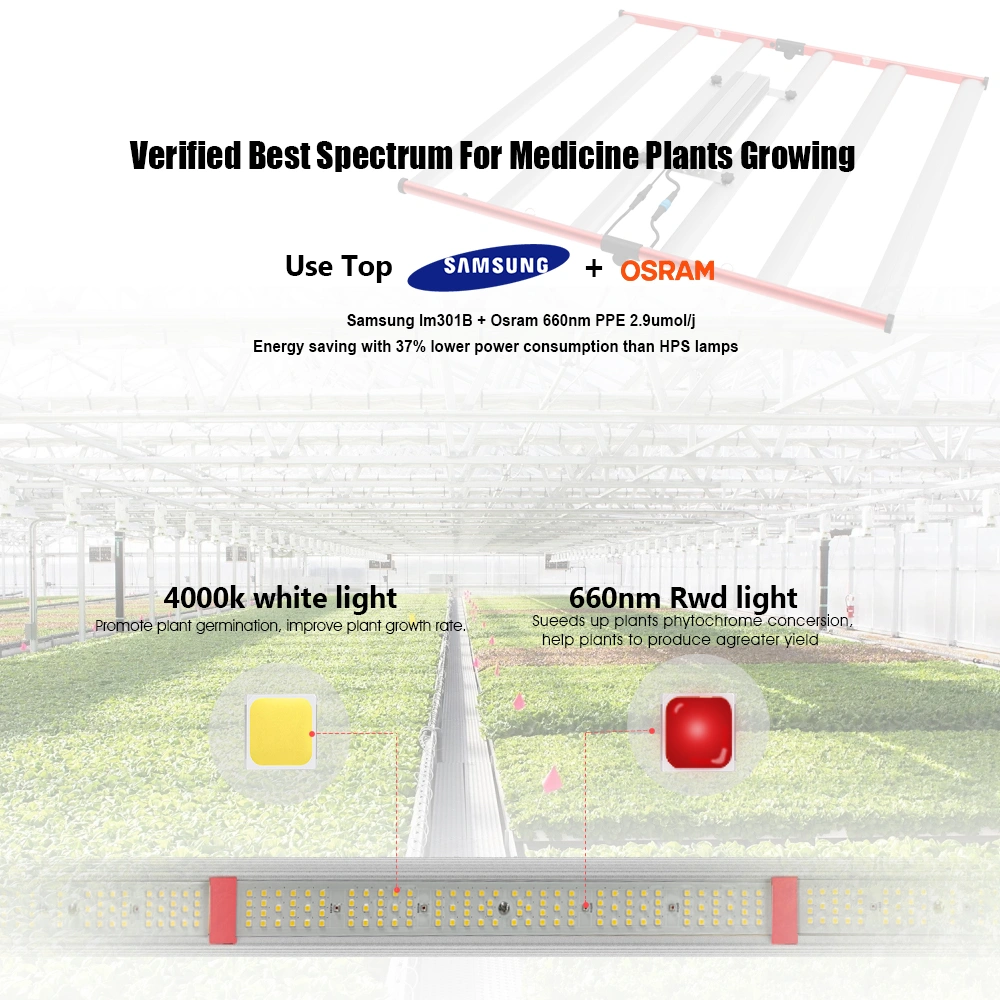 Buy Wholesale China 1000w Led Grow Light, Full Spectrum, Highest