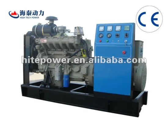 Gas power generator