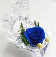 Ring box wholesale preserved flower