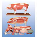 /msite/products/detail/productid/63357850/id/1517769.html