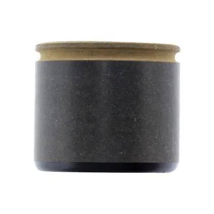 Phenolic Front Caliper Piston for FORD E-200 E-250 E-350 F-250 F-350 - Brake Caliper Part 14556001