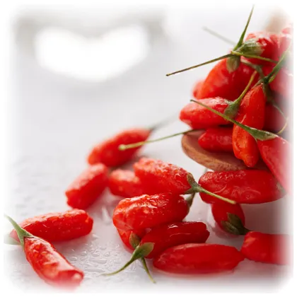 Red Power QIZITO fresh goji berries semilla de goji goji fruit