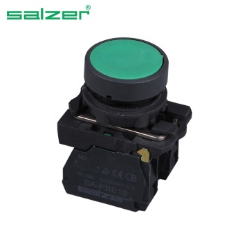 Salzer SA22-AA31 Green 1No Plastik Flush Tombol Sakelar-Off-On (TUV, CE, CB Disetujui)