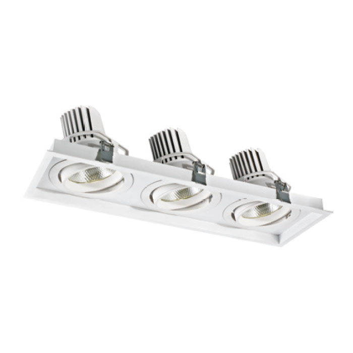 Innovative High Quality 38W3 LED Downlight