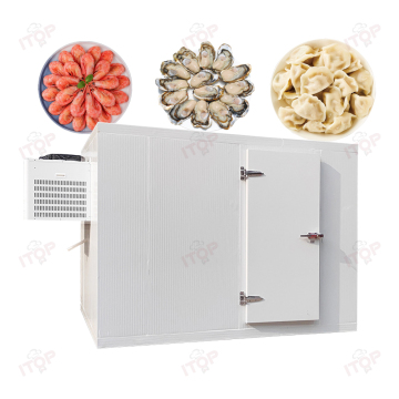Commercial Mini Blast Chiller and Monoblock Freezer - Easy Operation and Energy Efficient