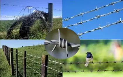 Galvanized barbed wire, steel wire, barbed rope