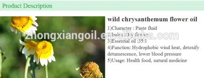 Pure Chrysanthemum oil bulk Pure Chrysanthemum oil bulk