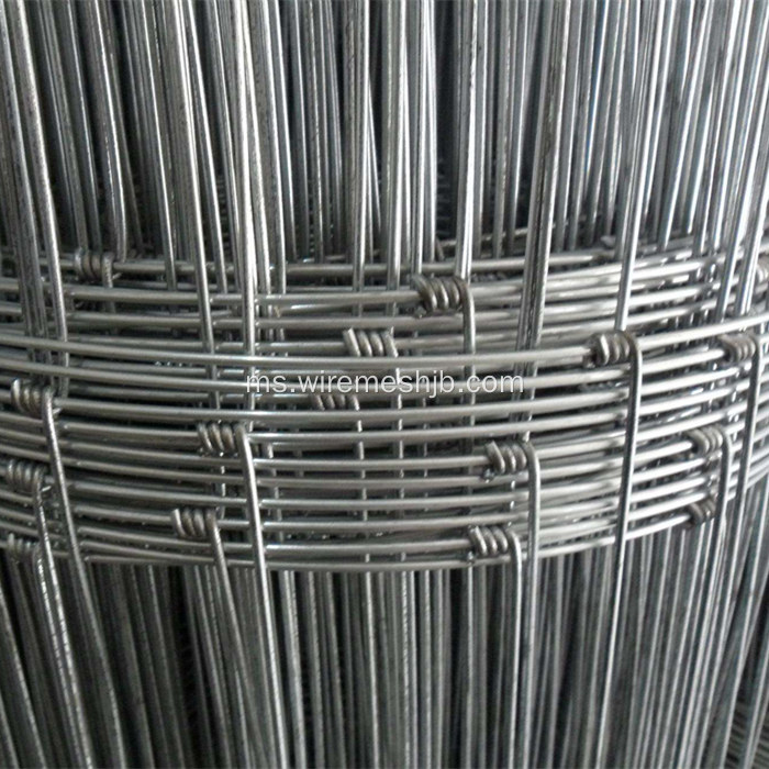 Pagar Galvanized Field Hot Screw Netting