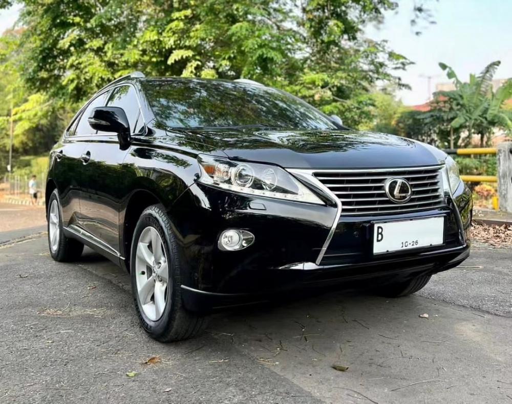 Fancy Luxury Car Mat voor Lexus RX270