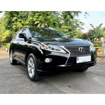 Fancy Luxury Car Mat voor Lexus RX270