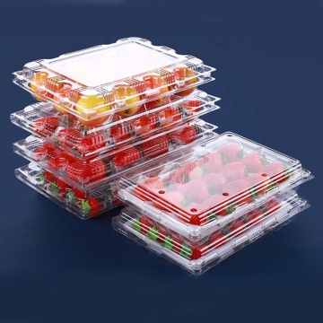 Viên chứa bao bì trái cây thú cưng bằng nhựa trong suốt, vách bao