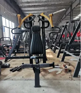 Gym Equipment Deltoid Press Machine For Strength Training