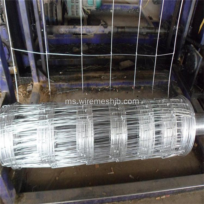 1.6M * 50M Galvanized Steel Wire Kraal Network