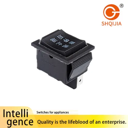 Toggle Switch Series R11 213