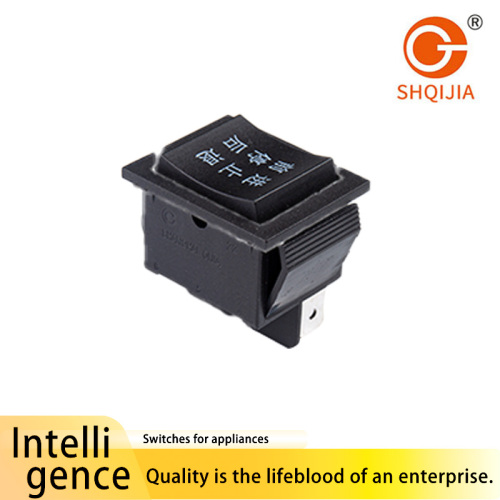 Interruptor de palanca Serie R11 213