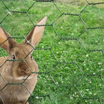 Penjualan panas wire mesh ayam heksagonal