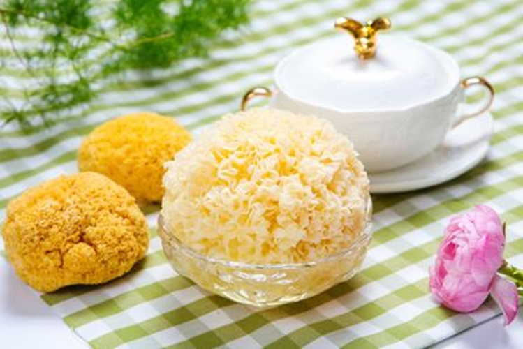 Tremella