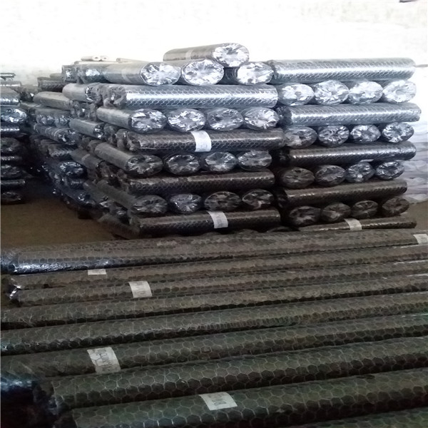 hexagonal wire mesh