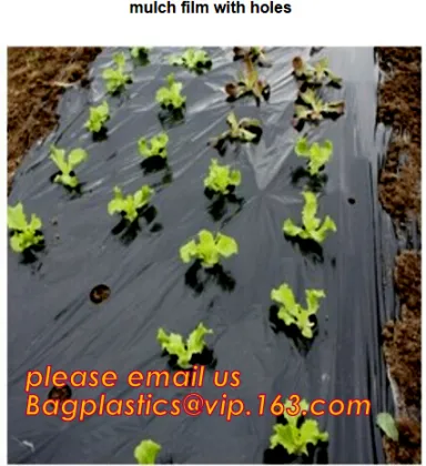 pe tube tomato film tomato pe tube perforated film pe tube perforated film