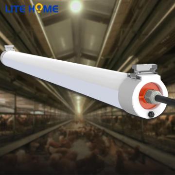 Reliable led tri-proof light fixture ip66