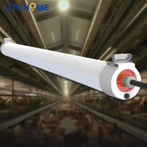 Lampe d'urgence tri-proof 2ft 20w