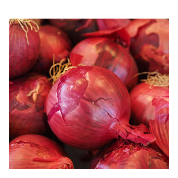 Fresh Red onion fresh in bulk with best price  China big onion