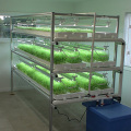 Rak Microgreen Hydroponic Scale Besar