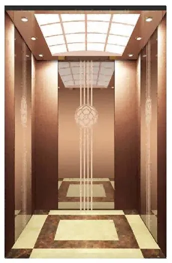 CE Certified Traction Residential Elevators for 2 Stories