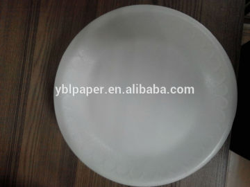 Disposable foam packing fast food plate
