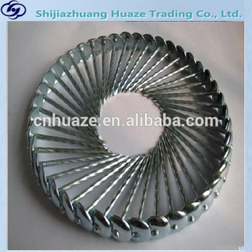wire nails price