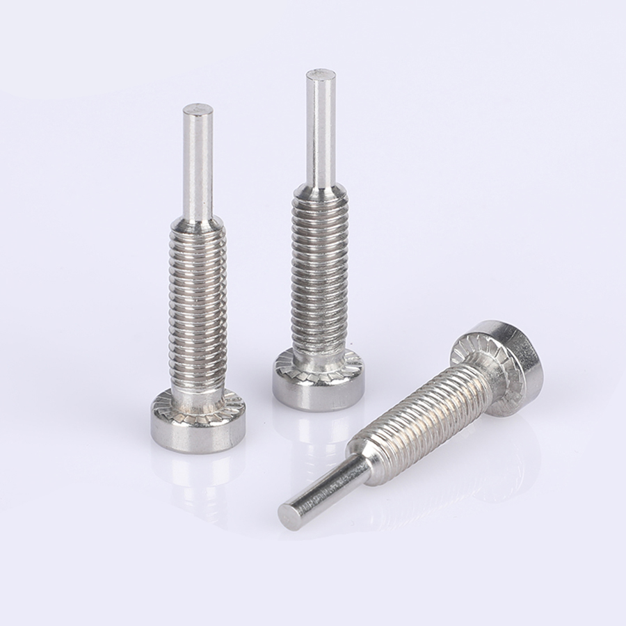 Stainless Steel Hexagon Socket Guide Screws (3)