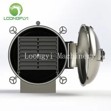 Fruit vegetable vacuum dryer machine