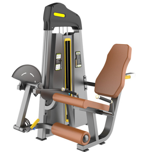 Seated Leg Curl Machine