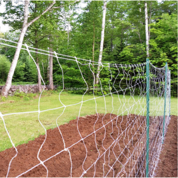 Plastic Square Trellis Mesh