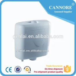 Plastic toilet water tank