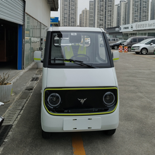 D02 flatbed electric transport vehicle
