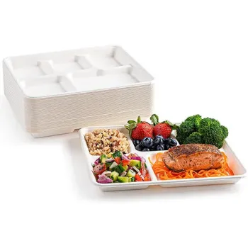 Disposable Sugarcane Bagasse Plate 5 Compartment Lunch Tray